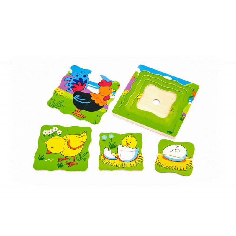 Puzzle in straturi Evolutie cocos, Viga